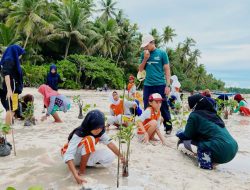 PLN Tanam 5.000 Bibit Pohon Mangrove di Wakatobi 