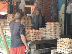 Harga Telur Ayam di Makassar Tembus Rp48 Ribu Per Rak