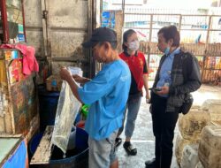KPPU Kanwil VI-Disdag Sulsel Pantau Stok Migor di Makassar 