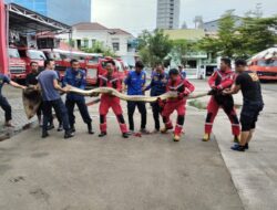 Ini Penyebab Munculnya Ular Di Pemukiman warga Akhir-akhir ini