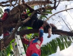 Konsumsi Sabu dan Miras, Pria di Jakbar Tidur di Atas Pohon