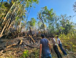 Polres Gowa dan Tim Gabungan Berhasil Padamkan Karhutla di Hutan Pinus Malino