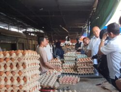 Pastikan Harga Stabil , KPPU,BI dan Disprindag Sidak Bawang Putih Di Pasar Terong
