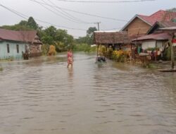 Menyedihkan! Begini Derita Warga Luwu Utara Akibat Bencana Banjir Berkepanjangan