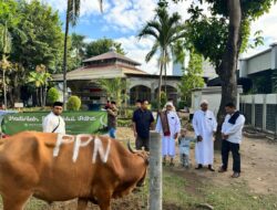 Bagi-Bagi Daging Kurban 88 Ekor Sapi dan 48 Ekor Kambing di Ring I Unit Operasi PT Pertamina Patra Niaga Sulawesi