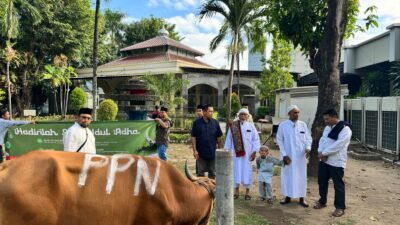 Bagi-Bagi Daging Kurban 88 Ekor Sapi dan 48 Ekor Kambing di Ring I Unit Operasi PT Pertamina Patra Niaga Sulawesi