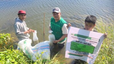 LAZ Hadji Kalla Kembangkan Budidaya Komuditi Timun Hijau dan Ikan Nila hingga Pembinaan Kelompok UMKM Sambal Balacang