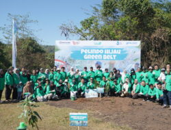 Semarakkan Kemerdekaan Pelindo Jasa Maritim Tanam 790 Pohon Melalui Program Pelindo Hijau Green Belt 2024