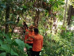 Seorang Lansia Dilaporkan Hilang Saat Melintas di Hutan Bambu Lembang Bori Ranteletok Toraja