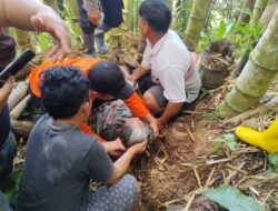 Dua Hari Pencarian, Tim SAR Gabungan Berhasil Temukan Lansia di Hutan Bambu Lembang Bori Toraja