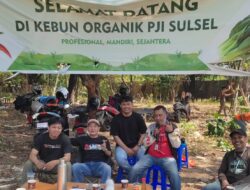 Jurnalis Sulsel Panen Cabai Hasil Usaha Mandiri