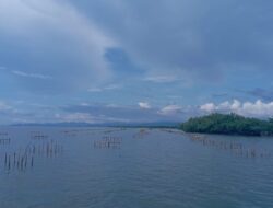 Berdayakan Masyarakat dan Kolaborasi dengan Instansi terkait, SPJM Rehabilitasi Penanaman Mangrove sebagai komitmen berkelanjutan Green Port