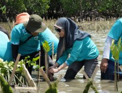 Aksi Lanjutan Carbon Offset Program, KALLA dan Nelayan Lokal Tanam Ribuan Bibit Mangrove di Kabupaten Pangkep