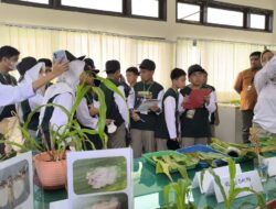 Siswa SMP Islam Athirah Bukit Baruga Belajar Budi Daya Jagung di BPSI Tanaman Serealia