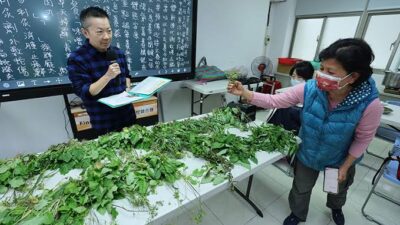 Pengguna IM3 Dimudahkan Cari Referensi Obat Herbal di Internet Saat di Kampung