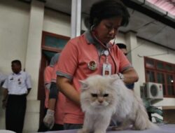 Jaringan IM3 Permudah Pemilik Hewan Peliharaan Temukan Klinik Hewan Terdekat
