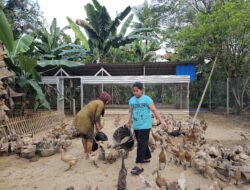 Perkuat Ekonomi dan Ketahanan Pangan, Pertamina Patra Niaga Sulawesi Kembangkan Budidaya Bebek Petelur di Maros
