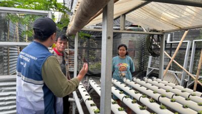 Kolaborasi Hijau Wujudkan Ketahanan Pangan Keluarga, Pertamina Patra Niaga IT Bitung Dukung Pemberdayaan Ibu Rumah Tangga Melalui Hidroponik