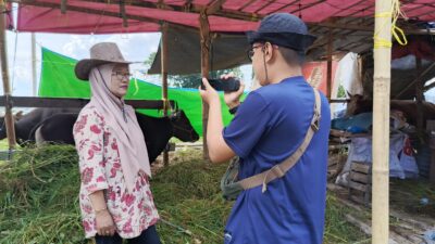 Kartini Dg Bella, Penjual Sapi Kurban di Jalan Tun Abdul Razak, Tawarkan Sapi Seharga Rp12 Juta hingga Rp60 Juta