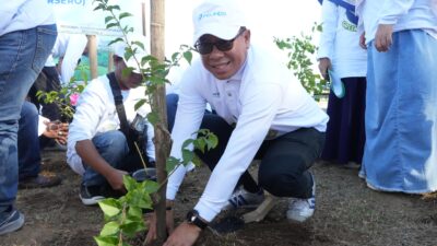 Peringati Hari Lingkungan Hidup 2025, Pelindo Bersama Pemkot Makassar Tanam Ribuan Bougenvile
