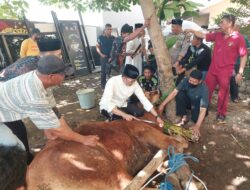 Kapolres Gowa Pimpin Pemotongan Hewan Kurban di Hari Raya Idul Adha 1446 H