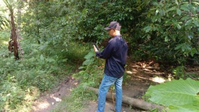 Petani Polebungin Selayar Manfaatkan Internet IM3 untuk Tingkatkan Hasil Pertanian