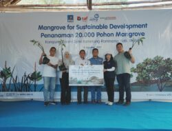 Kolaborasi Astra Group dan Kalla Toyota: Kurangi Emisi, Tanam 20.000 Bibit Mangrove di KBA Rammang-Rammang, Makassar
