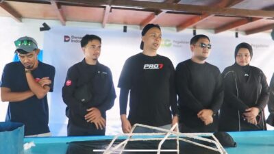 PT Pegadaian Kanwil VI Makassar Gelar Rehabilitasi dan Transplantasi Karang di Pulau Barrang Lompo