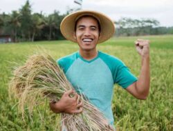 Petani Manfaatkan AI untuk Deteksi Dini Hama dan Penyakit Tanaman