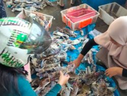 UMKM Olahan Kepiting Lantebung Manfaatkan AI dan E-Wallet untuk Pacu Pemasaran dan Arus Kas