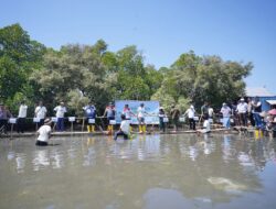 Pertamina Patra Niaga Sulawesi dan Pemkot Makassar Kolaborasi Luncurkan Program Ecoeduwisata Mangrove