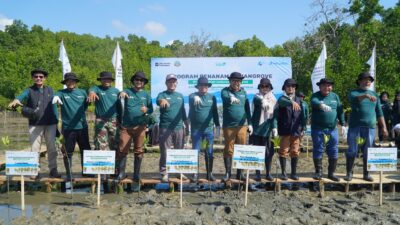 Peringati Hari Maritim Nasional 2025, Pelindo Regional 4 Kick Off Rehabilitasi Mangrove di Bone