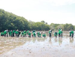 Jaga Aksi Mangrove Lestari, KALLA Tanam 41.000 Bibit Sepanjang 2025