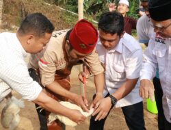 Bank Indonesia Sulawesi Selatan Dorong Peningkatan Kompetensi Juru Sembelih Halal Melalui Sertifikasi BNSP
