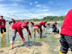 Pertamina Patra Niaga Sulawesi Tanam 1.000 Mangrove di Kendari untuk Wujudkan Ekosistem Pesisir yang Lebih Tangguh