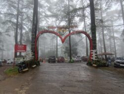 Dari Hutan Pinus Malino hingga Bukit Toppa, Tantangan Menjaga Lingkungan Wisata Gowa