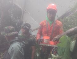 Tim SAR Gabungan Temukan Black Box Pesawat pada Hari Kelima Operasi SAR