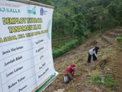 Selama 2025 LAZ Hadji Kalla Berhasil Meningkatkan Produktivitas dan Pendapatan Petani Melalui Program DBS