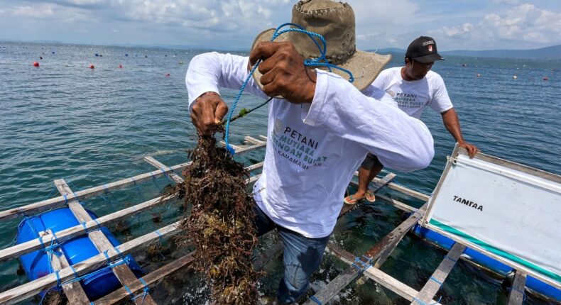 foto slider headline