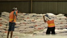 CAPTION : Aktivitas di pergudangan Bulog Makassar, pada Kamis (30/4). Foto : Ahmad