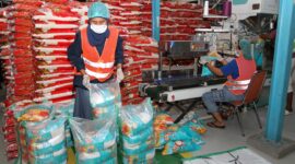 Caption : Para pekerja di Gudang Bulog Makassar melakukan pengepakan penimbangan gabah hasil petani Kamis (7/5). Foto : Mad 