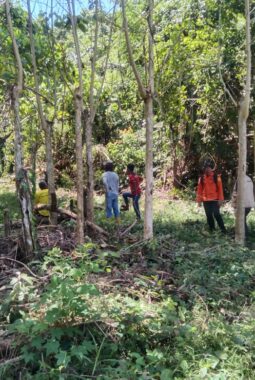 Basarnas Makassar Terjunkan Tim Rescue Bone Cari Lansia yang Hilang di Arasoe Bone